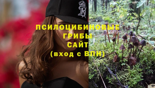 крисы Кодинск