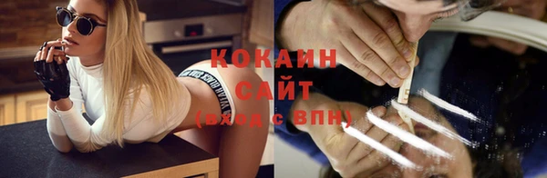 крисы Кодинск