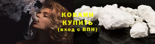 крисы Кодинск