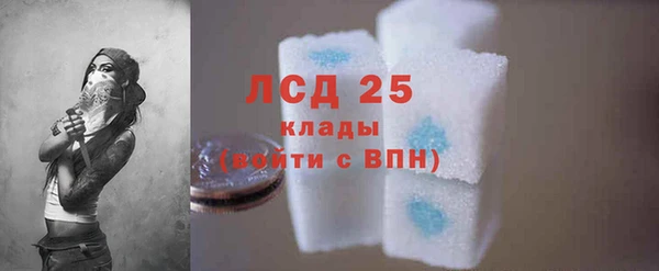 крисы Кодинск