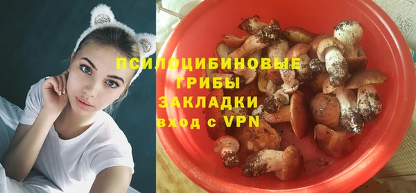 крисы Кодинск