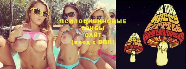 крисы Кодинск
