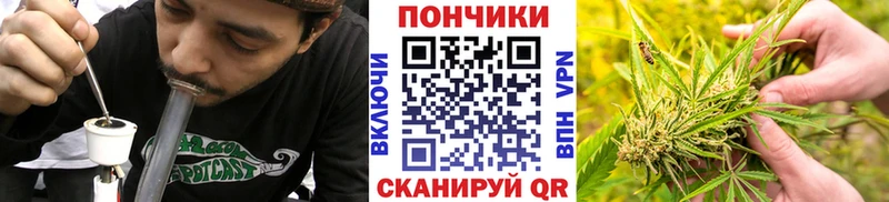 МАРИХУАНА план  Купить закладки  Кудымкар 